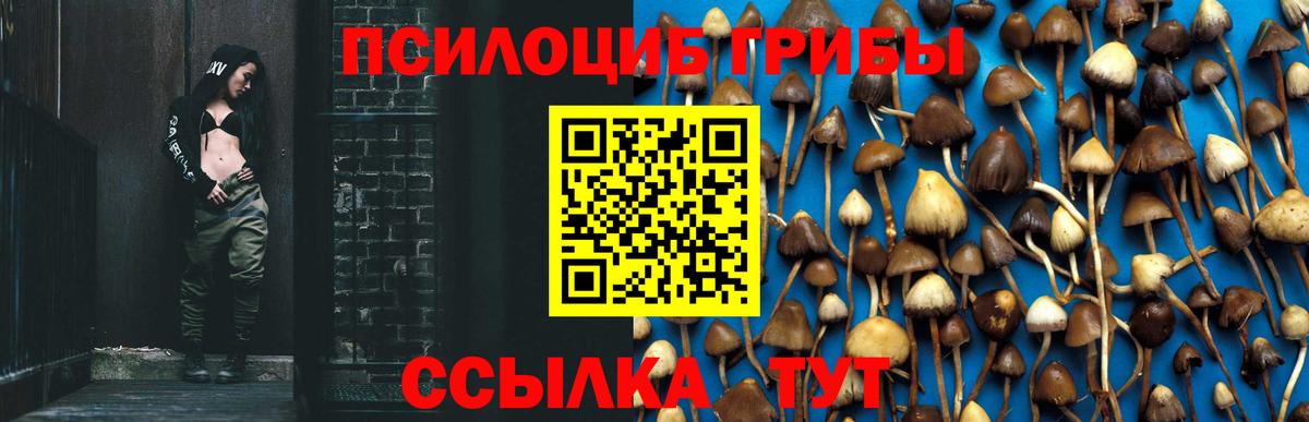 Галлюциногенные грибы GOLDEN TEACHER  Вход с VPN  Заводоуковск 
